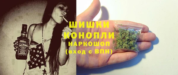PSILOCYBIN Горняк