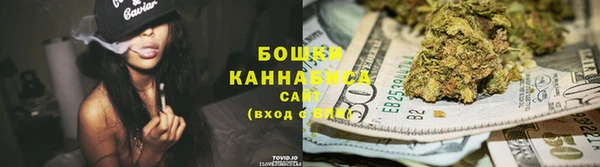 PSILOCYBIN Горняк