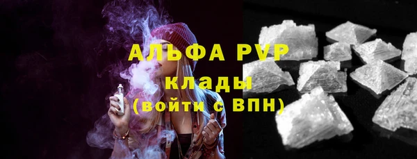 PSILOCYBIN Горняк
