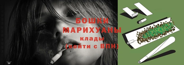 PSILOCYBIN Горняк