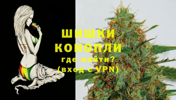 PSILOCYBIN Горняк