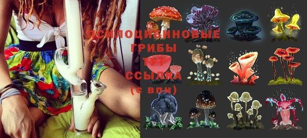 марки nbome Горнозаводск
