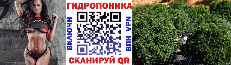 Конопля SATIVA & INDICA  купить   Невель 